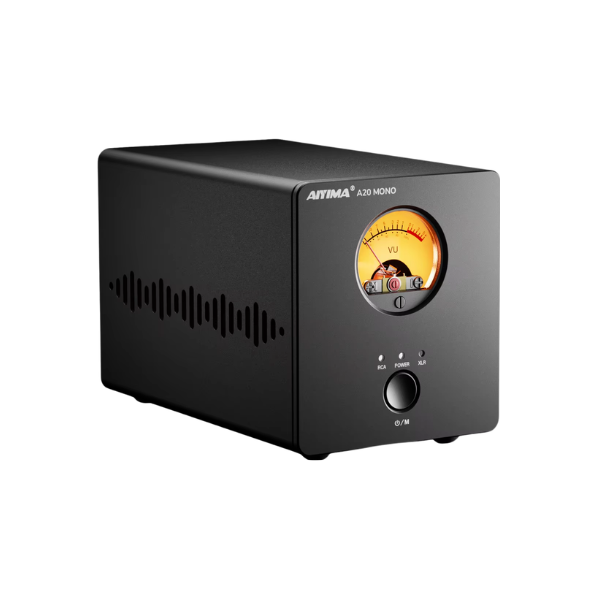 300W Mono Hi-Fi Power Amplifier Class D with XLR Input