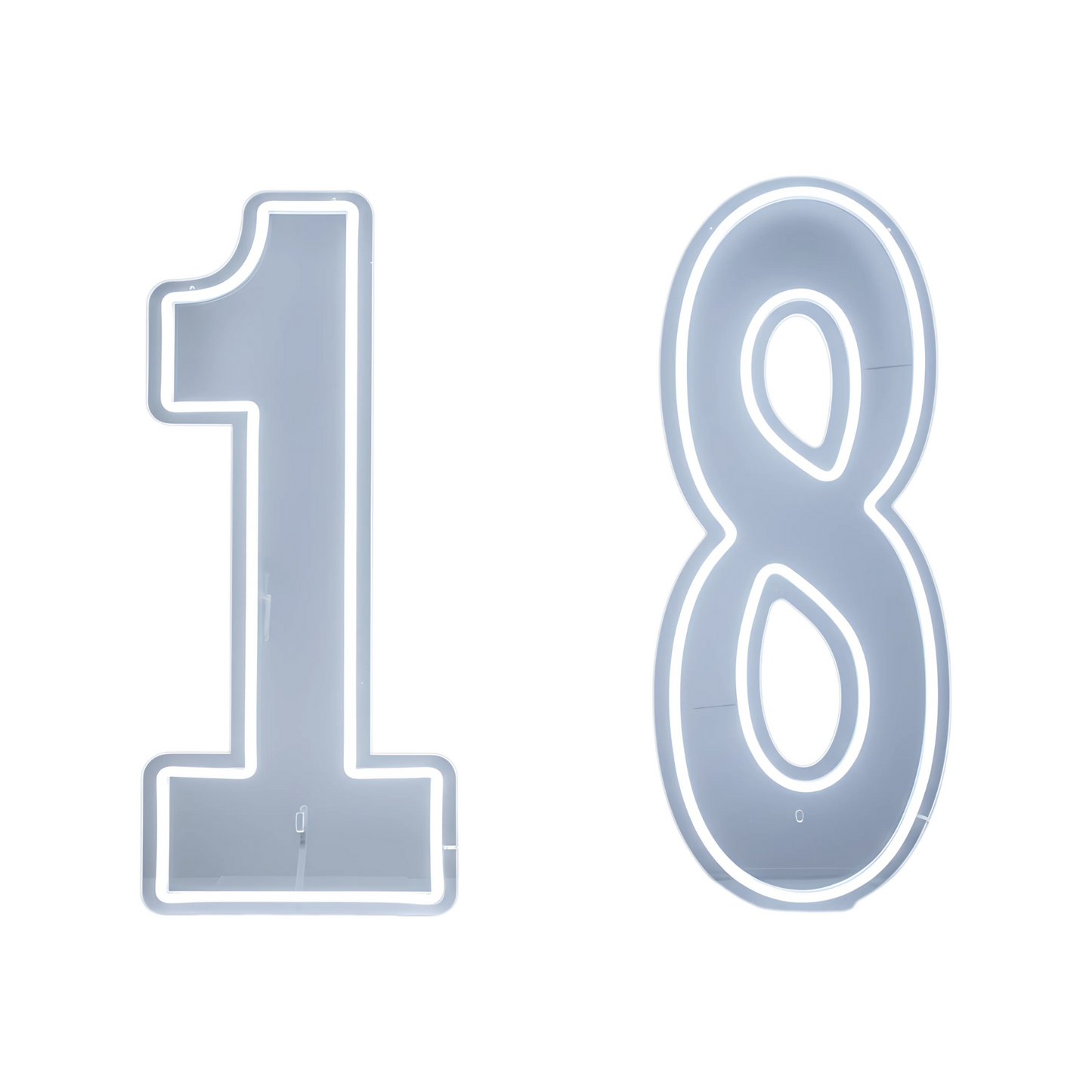 76cm 100cm LED Neon Number Light for Birthday or Wedding