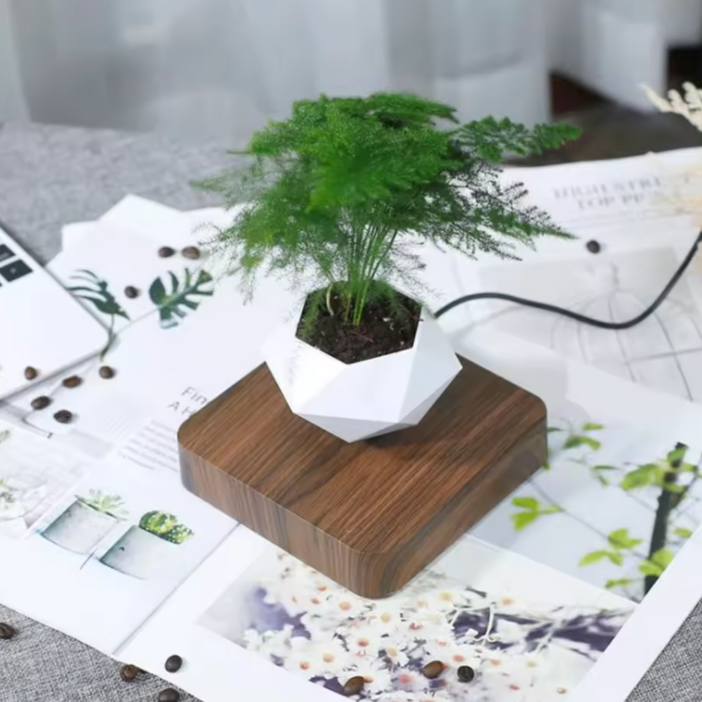 Levitating Magnetic Bonsai Pot with Walnut Base