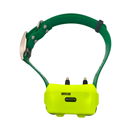 Waterproof 4G GPS Pet Locator with 4000mAh Battery Green