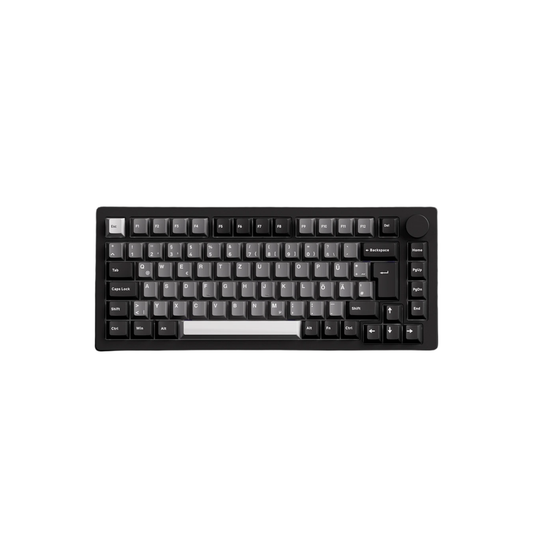 Custom 75% Keyboard  RGB Hot Swappable Design