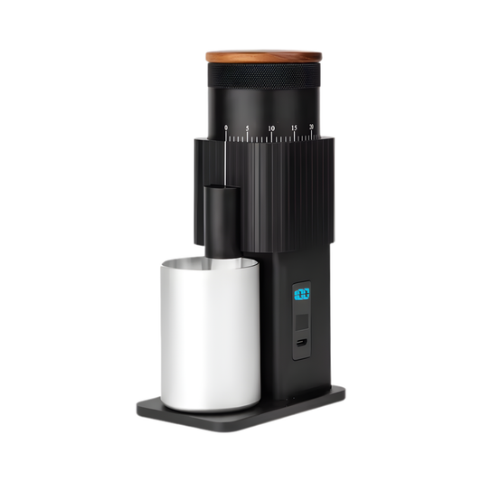 Portable Electric Coffee Grinder with Adjustable Stainless Steel Burr