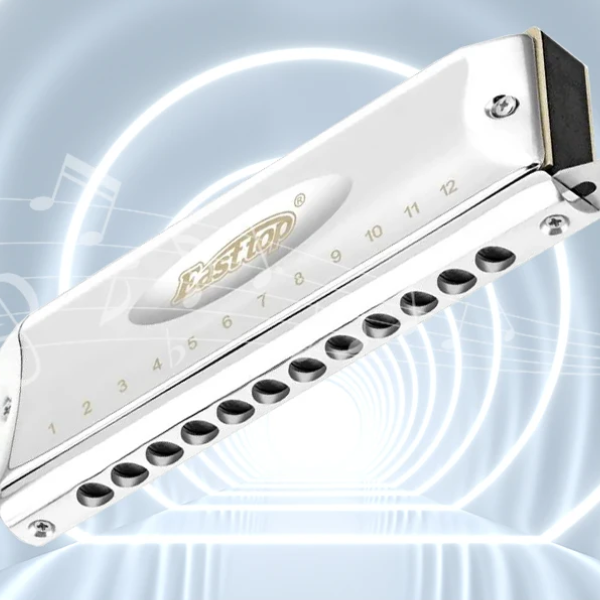 Professional 12-Hole 48-Tone Chromatic Harmonica Low C