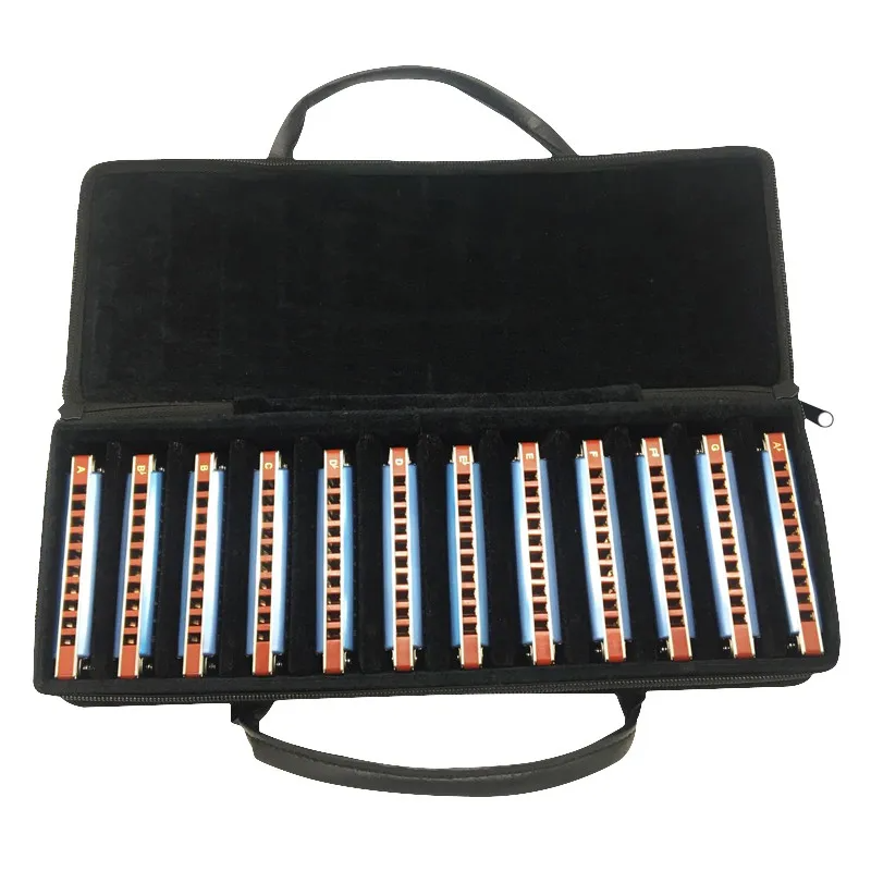 12-Piece Diatonic Blues Harmonica Set 10-Hole 12 Keys