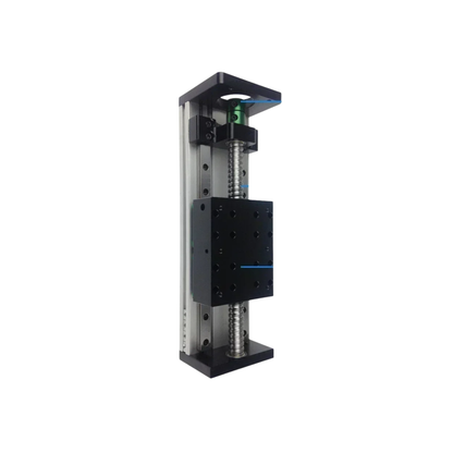 Linear Guide Table 200mm SFU1605 Double Rail XYZ Linear