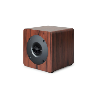 4 Inch Silk Dome Super Tweeter Speaker