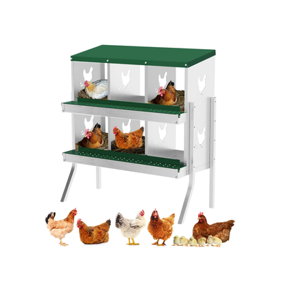 6 Compartment Chicken Nesting Box with Legs Green