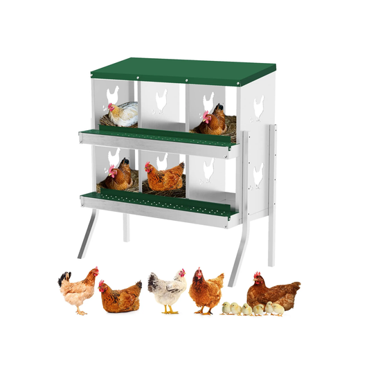 6 Compartment Chicken Nesting Box with Legs Green