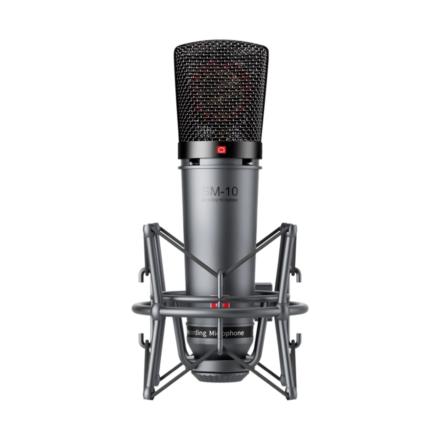Professional Condenser XLR Microphone for Home Recording