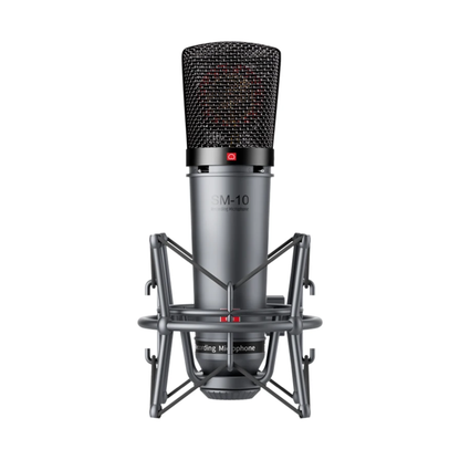 Professional Condenser XLR Microphone for Home Recording