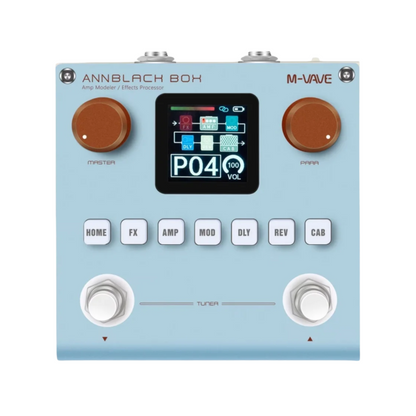 Portable Guitar Bass Effects Processor with Amp Modelling