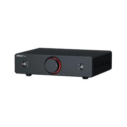 300W X2 HiFi Stereo Power Amplifier with XLR RCA