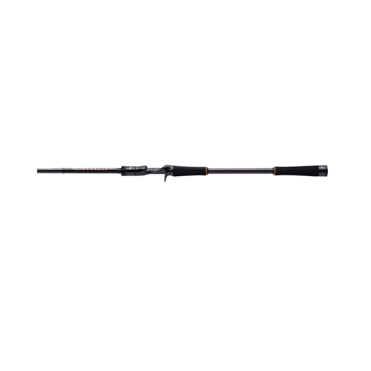Hard Action Fishing Rod for SeaBass Catch