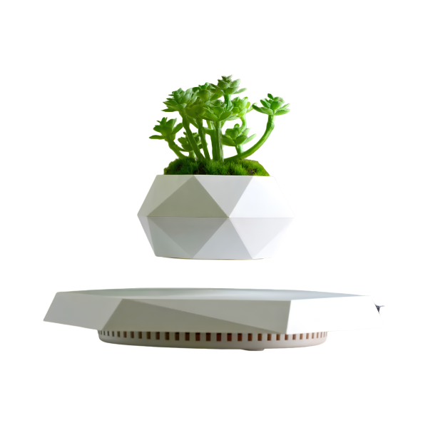 Floating Magnetic Levitation Plant Pot for Succulents