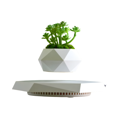 Floating Magnetic Levitation Plant Pot for Succulents