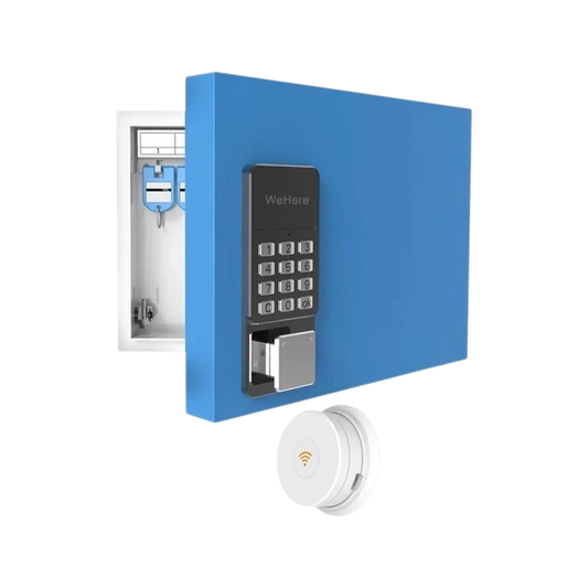 App Controlled 16-Key Wall Mounted Safe Blue