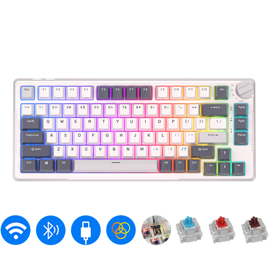 RK H81 81 Key Mechanical Keyboard White Blue Switch RGB