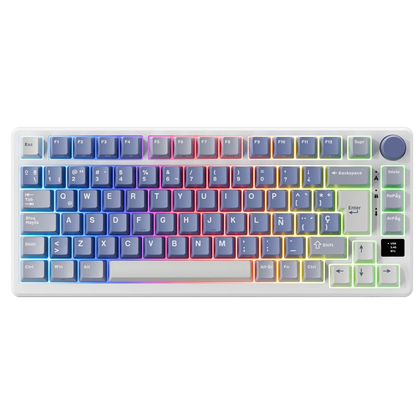 Wireless 75% RGB Mechanical Keyboard Fast Silver Switch