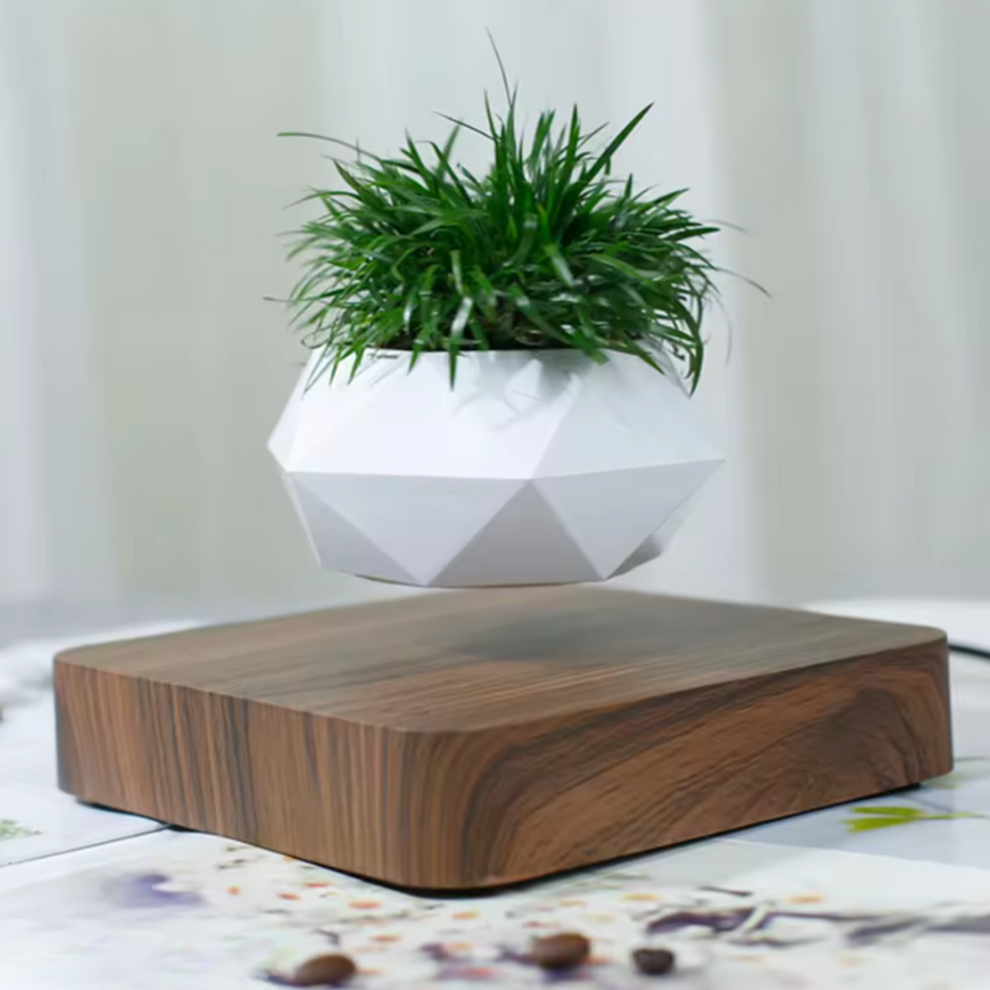 Levitating Magnetic Bonsai Pot with Walnut Base