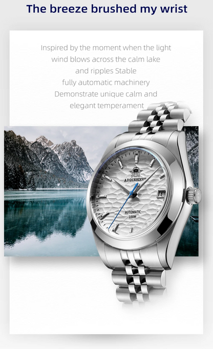 Silver Luminous Business Mechanical Watch Blue Face