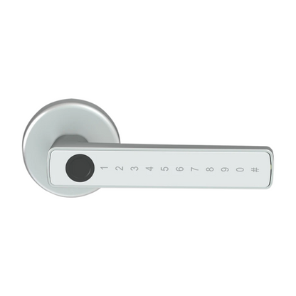 Smart Fingerprint Door Lock with Keypad and App Control