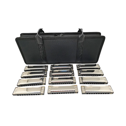 Professional 10-Hole Diatonic Harmonica 12-Key Set with Case