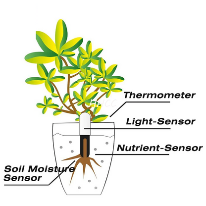 Smart Plant Soil Moisture Monitor 6 Pack