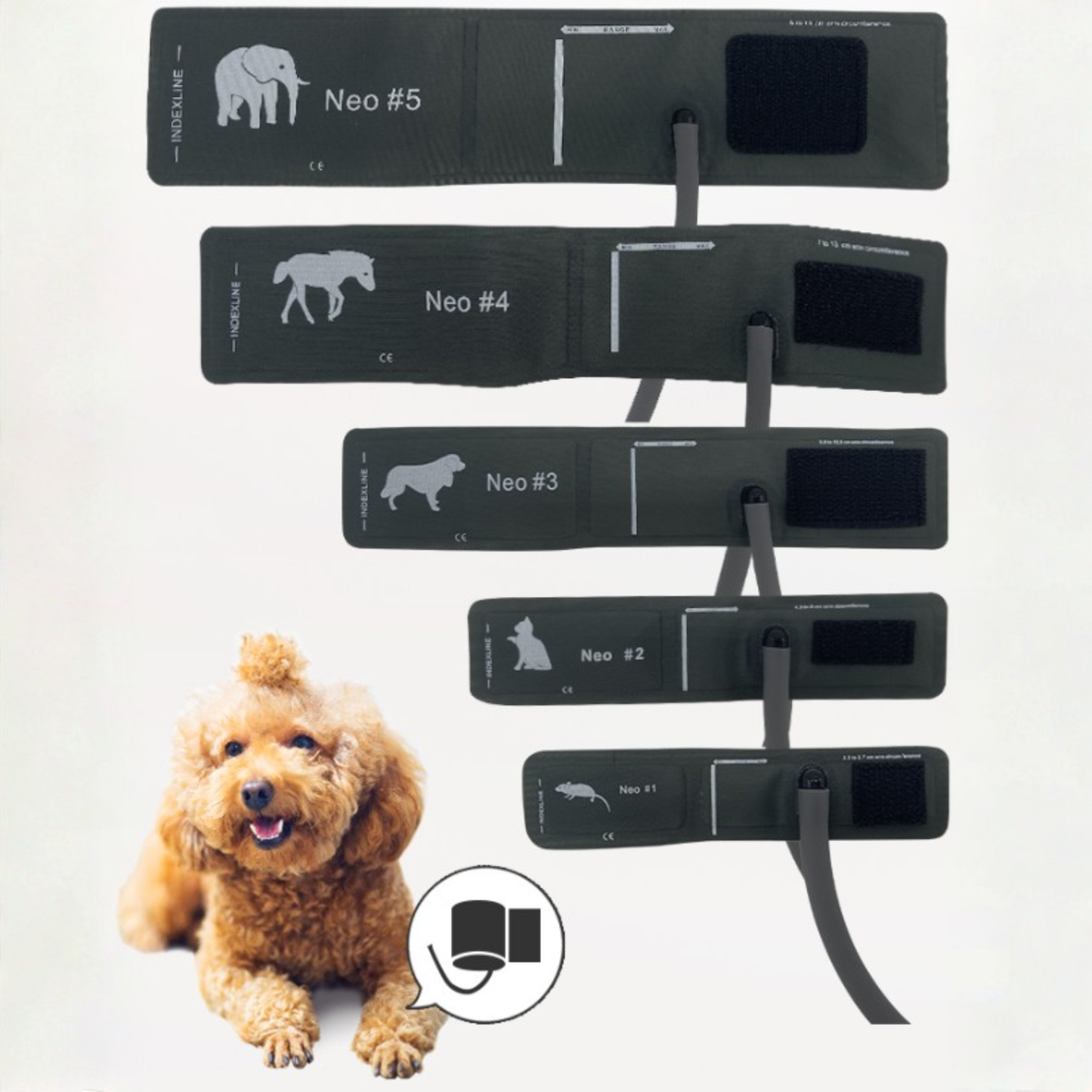 Veterinary Blood Pressure Monitor with 3 Cuffs for Pets