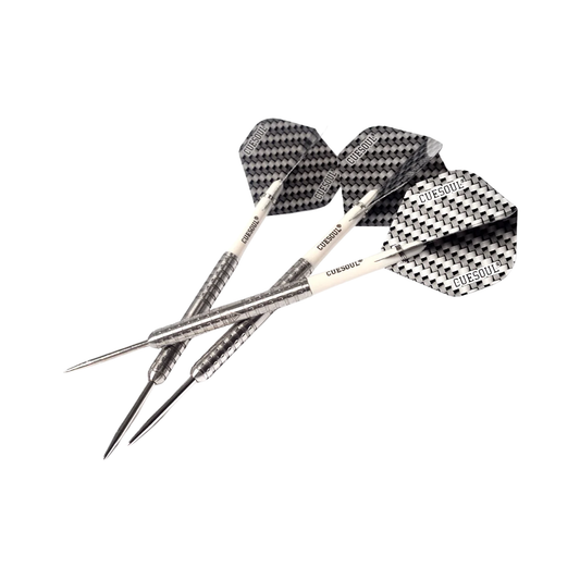 Professional 22g Tungsten Steel Tip Darts Set with Case