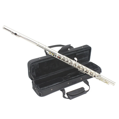 Professional Concert Flute C Key with Cleaning Kit