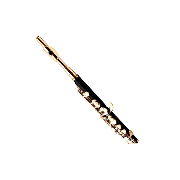 16-Hole Piccolo C Key Black Gold Woodwind Instrument