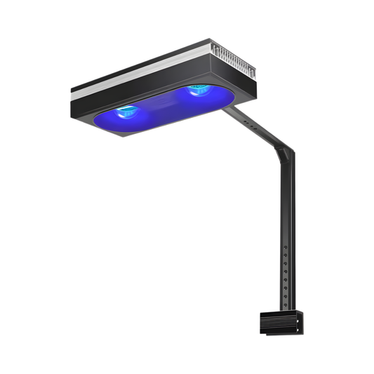 High Power Marine LED Lamp 40–80cm SPS/LPS Tanks