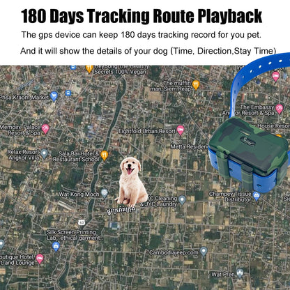 Waterproof 4G GPS Pet Locator with 4000mAh Battery Green