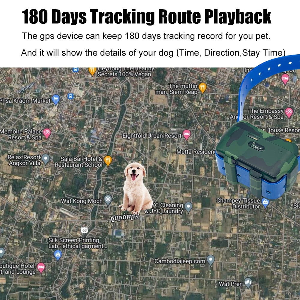 Hunting Dog GPS Tracker with 4000mAh Battery Blue