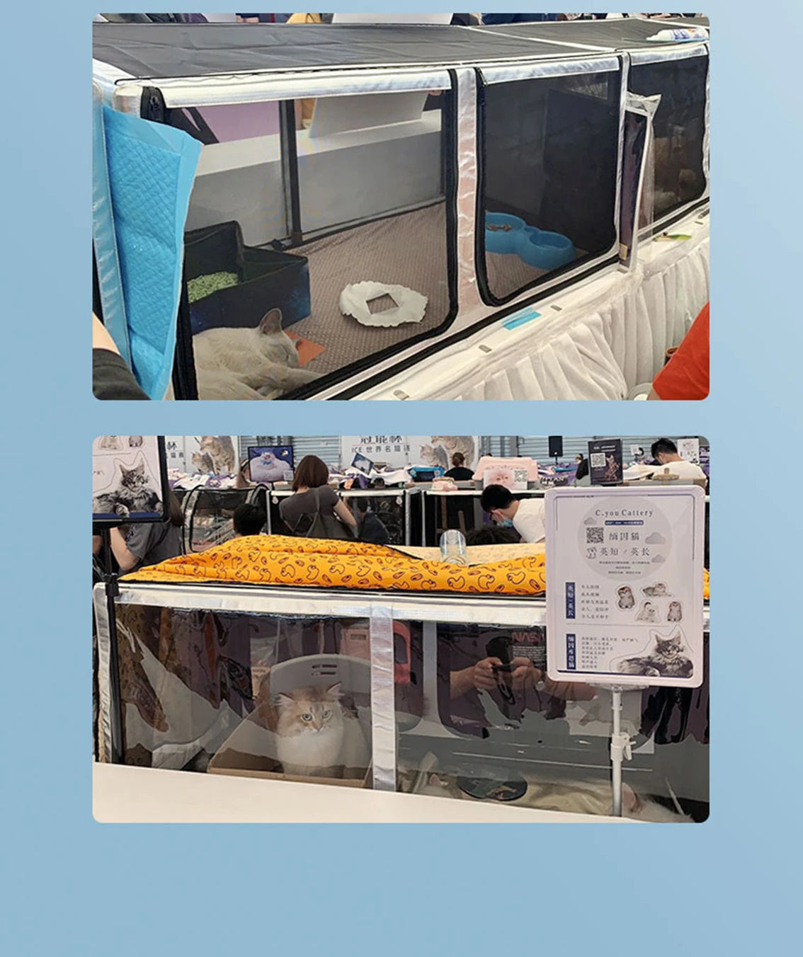 Folding Cat Display Cage for Competitions Pearl Gray