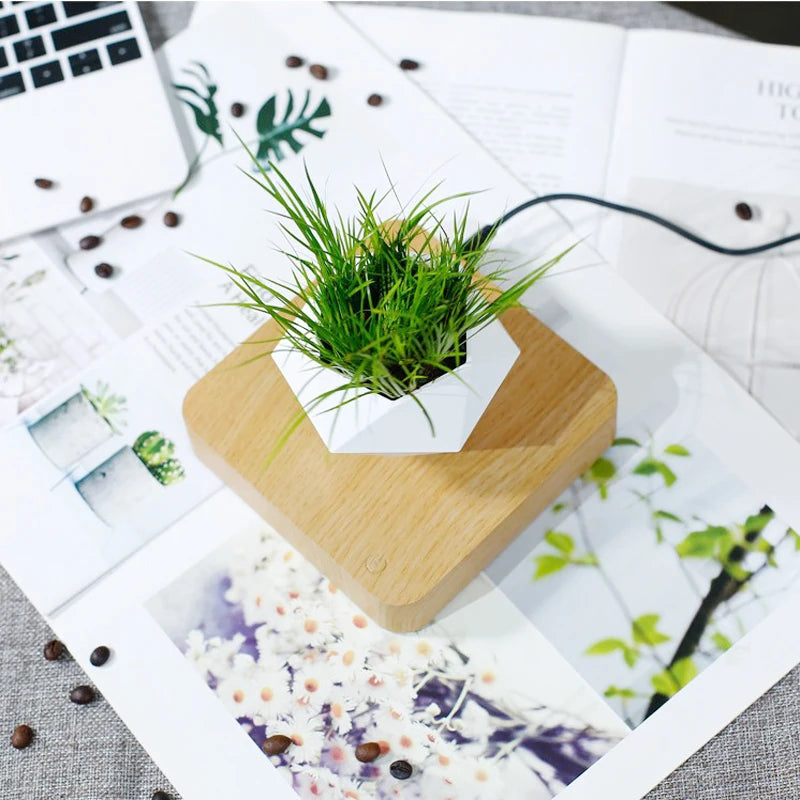 Modern Desk Decor Levitating Flower Pot Light Wood