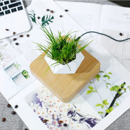 Modern Desk Decor Levitating Flower Pot Light Wood