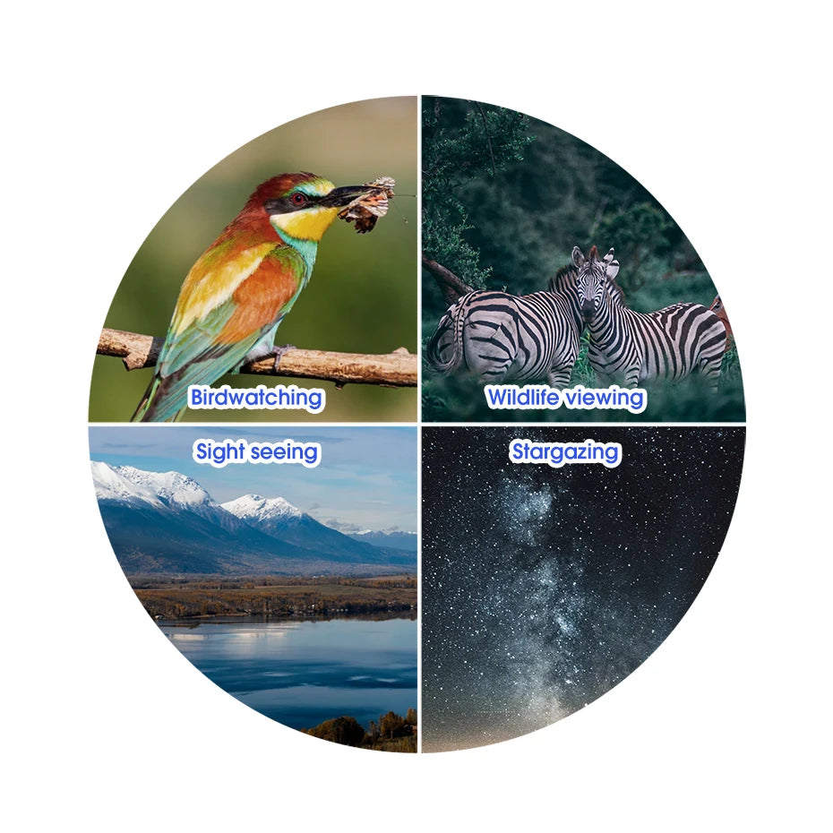 Waterproof 8x32 Compact Binoculars for Hiking and Outdoor Viewing