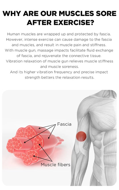 Percussion Muscle Massager for Fitness and Recovery