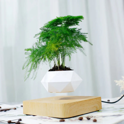 Modern Desk Decor Levitating Flower Pot Light Wood
