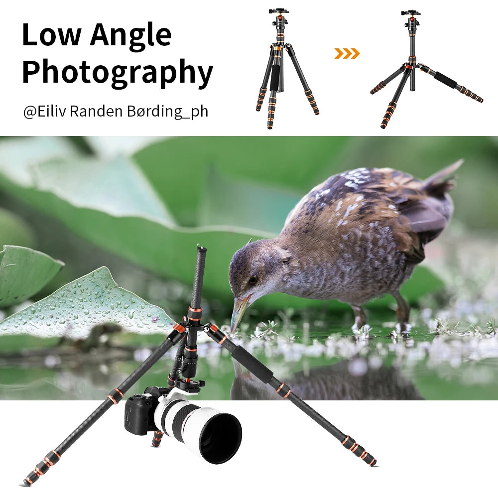 60 Inch Carbon Fiber Tripod with Detachable Monopod