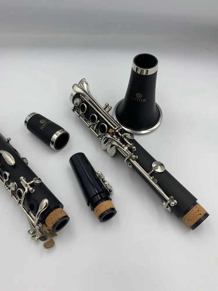 B-Flat Clarinet Woodwind Instrument with Case & Accessories
