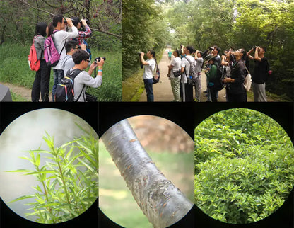 Waterproof 8x32 Compact Binoculars for Hiking and Outdoor Viewing