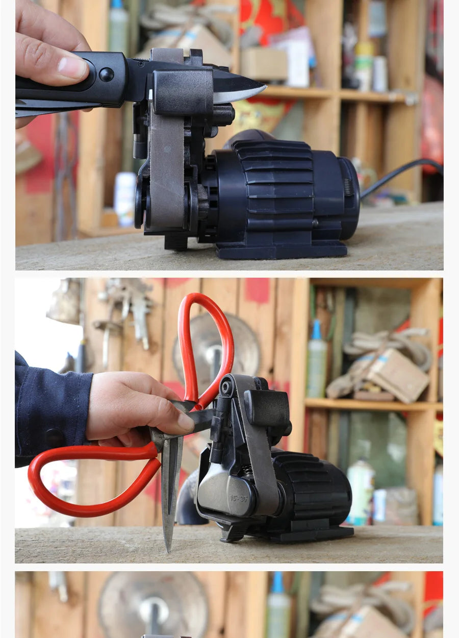Precision Electric Knife Sharpener for Home