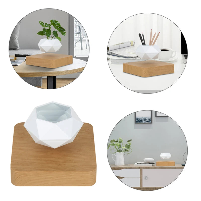 Modern Desk Decor Levitating Flower Pot Light Wood