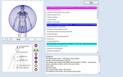 18D NLS Aura and Chakra Body Analyzer with Iriscope