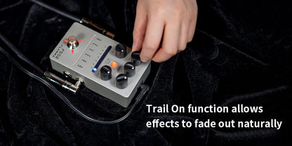 Stereo Reverb Pedal with Spring Reverb and Preset Storage