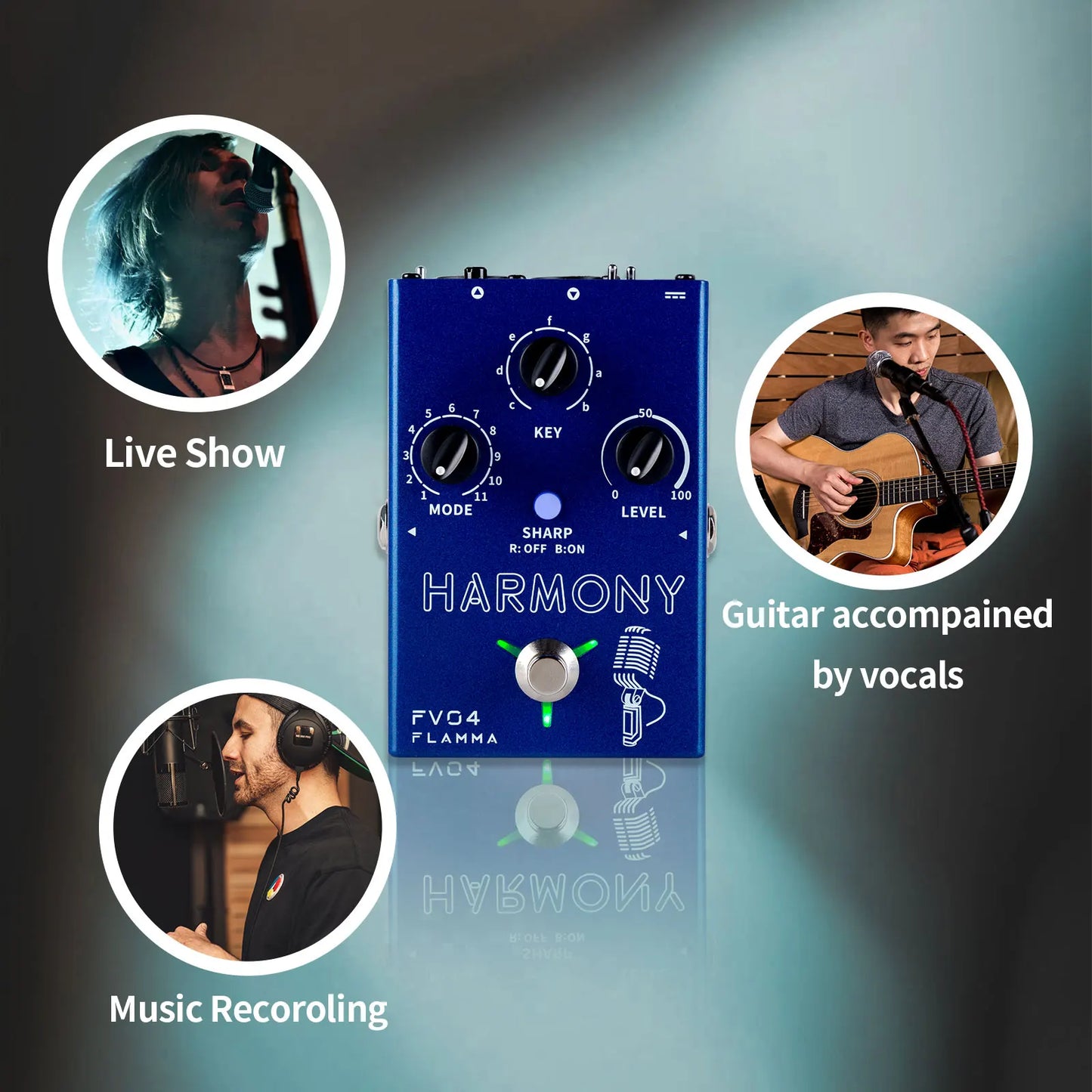 Harmony Vocal Effects Processor with 12 Pitches and Phantom Power