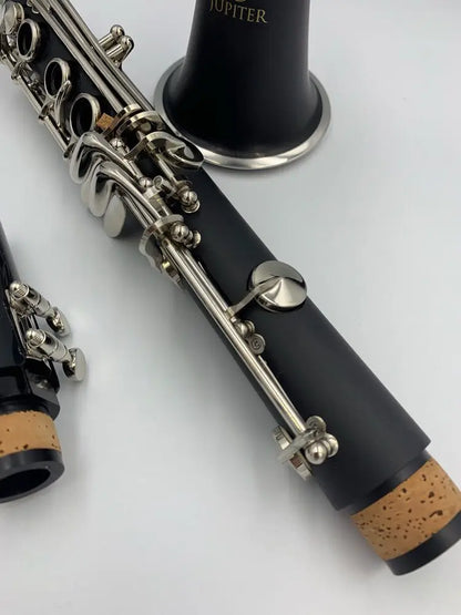 B-Flat Clarinet Woodwind Instrument with Case & Accessories