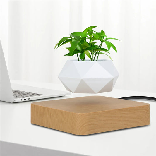 Modern Desk Decor Levitating Flower Pot Light Wood